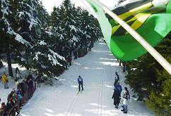 Blick von der Zuschauerbr�cke am Skistadion